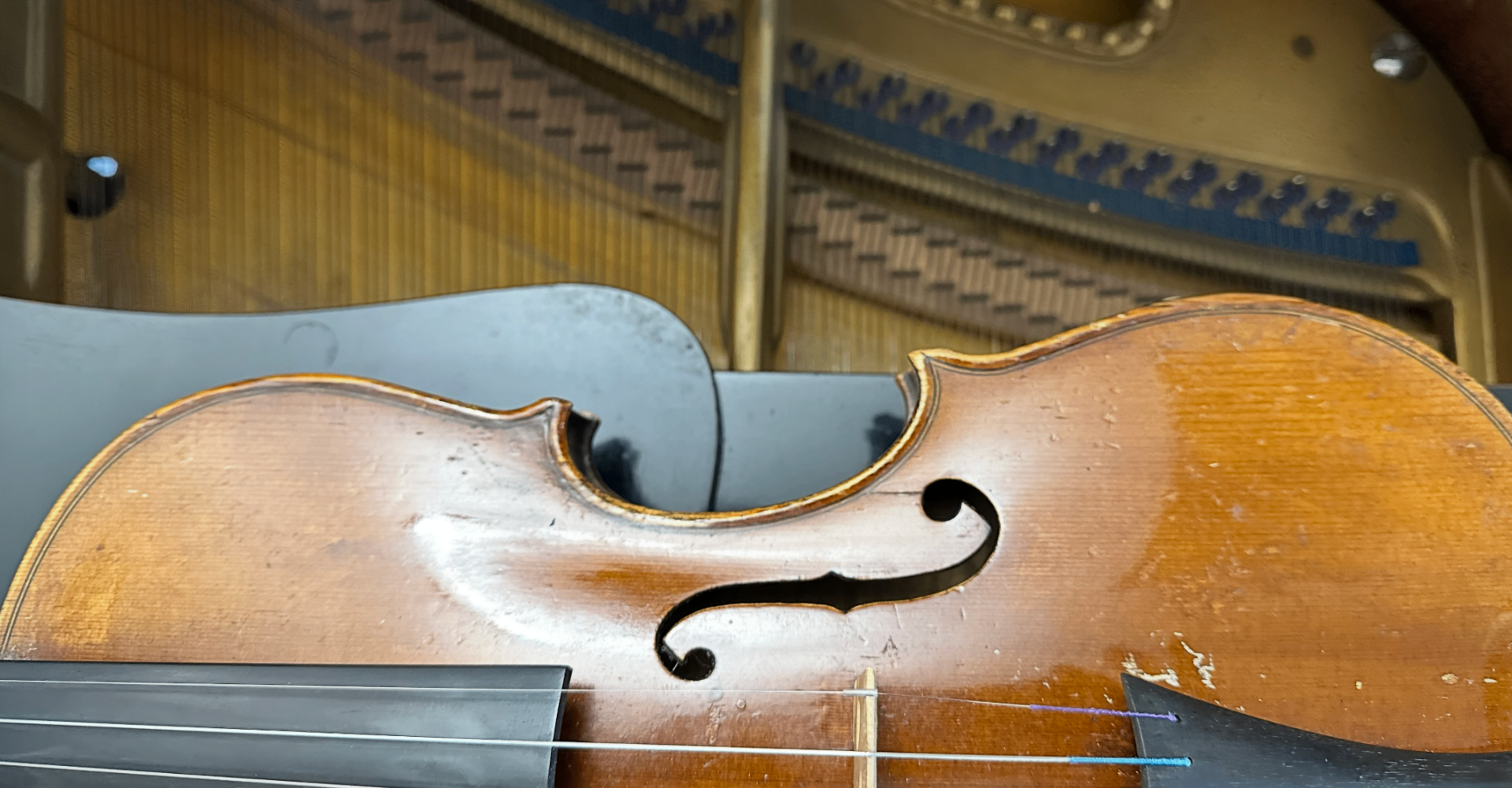 Musica dal vivo